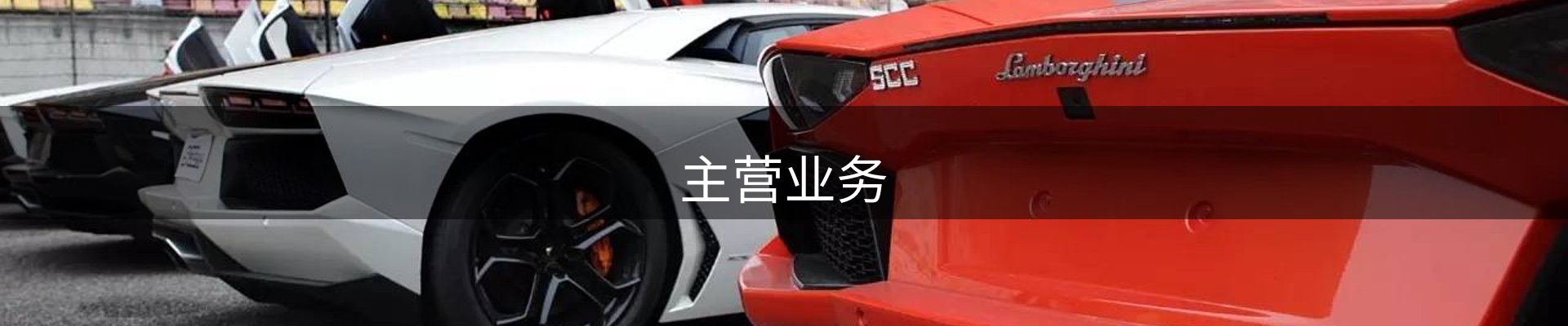 主营业务